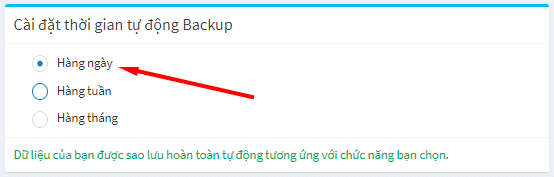 Cài đặt thời gian tự động backup dữ liệu